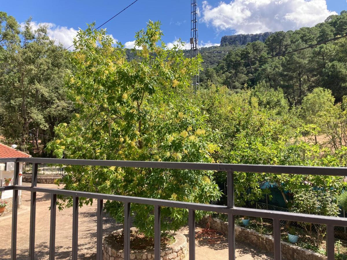 ארויו פריו Apartamento Rosa מראה חיצוני תמונה